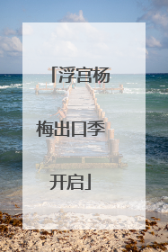 浮宫杨梅出口季开启