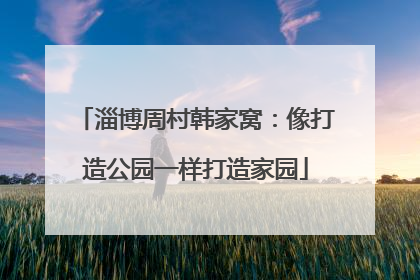 淄博周村韩家窝：像打造公园一样打造家园