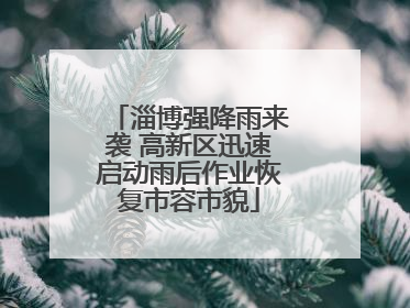 淄博强降雨来袭 高新区迅速启动雨后作业恢复市容市貌