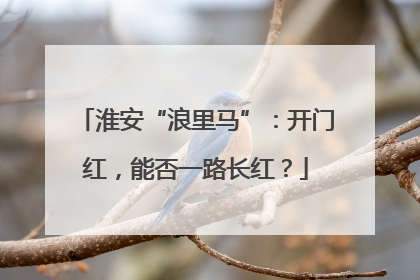 淮安“浪里马”：开门红，能否一路长红？