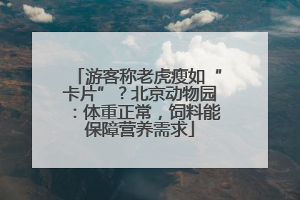 游客称老虎瘦如“卡片”？北京动物园：体重正常，饲料能保障营养需求
