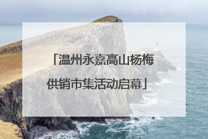 温州永嘉高山杨梅供销市集活动启幕