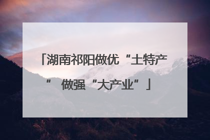 湖南祁阳做优“土特产” 做强“大产业”