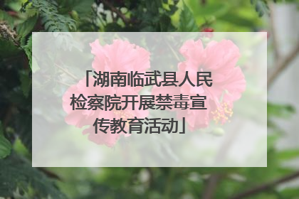 湖南临武县人民检察院开展禁毒宣传教育活动