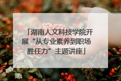 湖南人文科技学院开展“从专业素养到职场胜任力”主题讲座