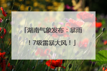 湖南气象发布：暴雨！7级雷暴大风！