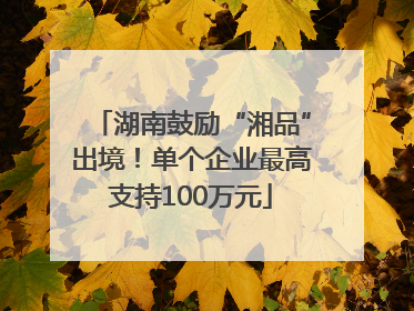 湖南鼓励“湘品”出境！单个企业最高支持100万元