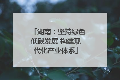 湖南：坚持绿色低碳发展 构建现代化产业体系