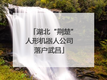 湖北“荆楚”人形机器人公司落户武昌