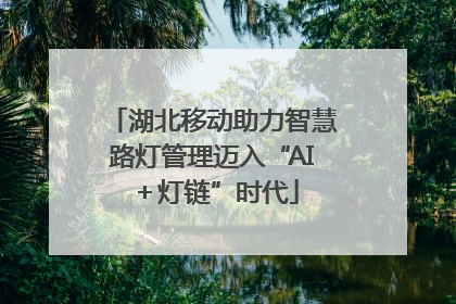 湖北移动助力智慧路灯管理迈入“AI＋灯链”时代