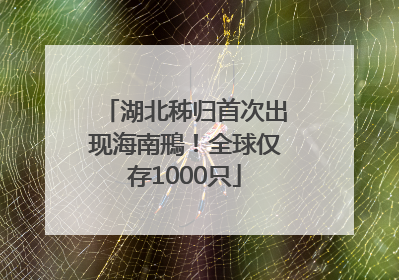 湖北秭归首次出现海南鳽！全球仅存1000只