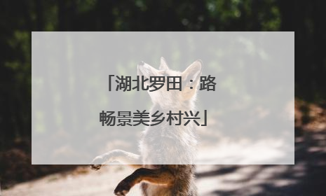 湖北罗田：路畅景美乡村兴