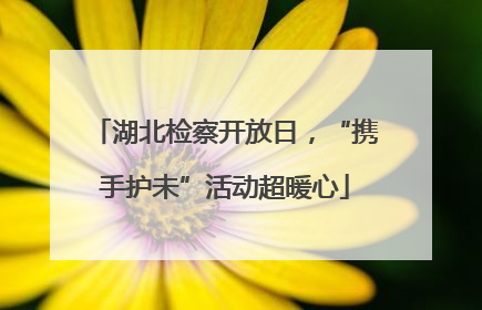 湖北检察开放日，“携手护未”活动超暖心