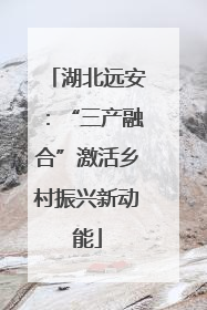 湖北远安：“三产融合”激活乡村振兴新动能