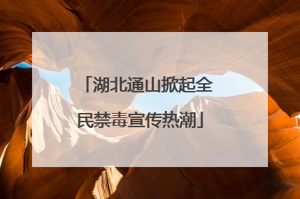 湖北通山掀起全民禁毒宣传热潮