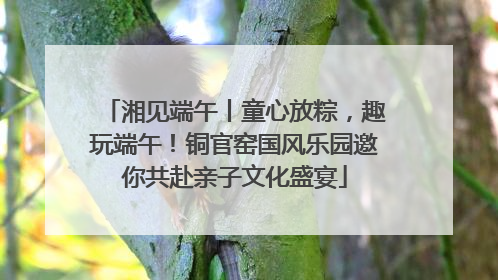 湘见端午丨童心放粽，趣玩端午！铜官窑国风乐园邀你共赴亲子文化盛宴