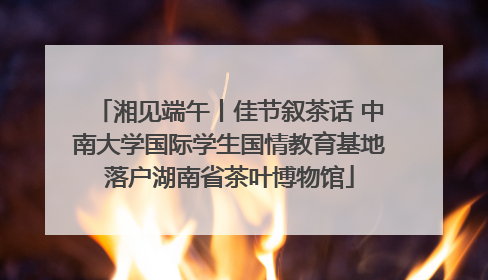 湘见端午丨佳节叙茶话 中南大学国际学生国情教育基地落户湖南省茶叶博物馆