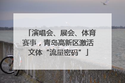 演唱会、展会、体育赛事，青岛高新区激活文体“流量密码”