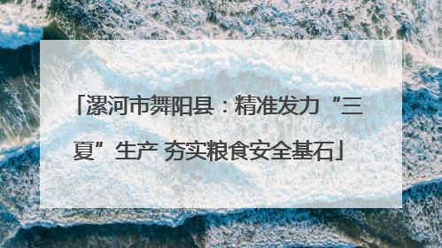 漯河市舞阳县：精准发力“三夏”生产 夯实粮食安全基石