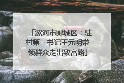 漯河市郾城区：驻村第一书记王元明带领群众走出致富路