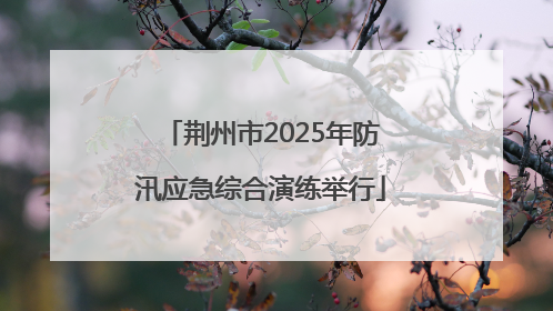 荆州市2025年防汛应急综合演练举行