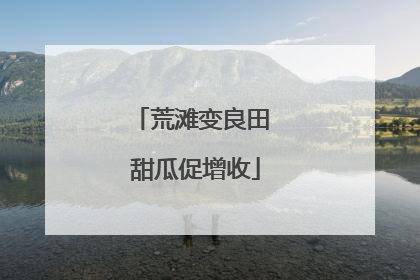 荒滩变良田 甜瓜促增收