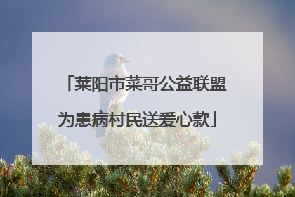 莱阳市菜哥公益联盟为患病村民送爱心款