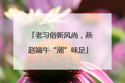 老习俗新风尚，燕赵端午“潮”味足