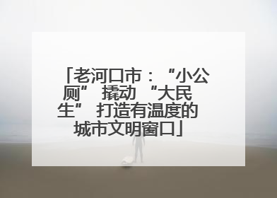 老河口市：“小公厕” 撬动 “大民生” 打造有温度的城市文明窗口