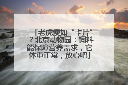 老虎瘦如“卡片”？北京动物园：饲料能保障营养需求，它体重正常，放心吧