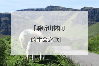聆听山林间的生命之歌