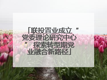 联投置业成立“党委理论研究中心” 探索转型期党业融合新路径