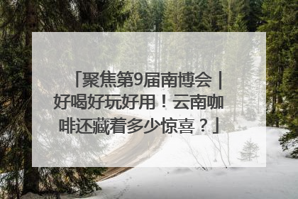 聚焦第9届南博会｜好喝好玩好用！云南咖啡还藏着多少惊喜？