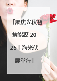聚焦光伏智慧能源 2025上海光伏展举行