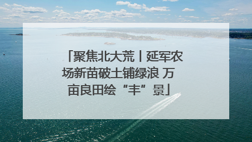 聚焦北大荒丨延军农场新苗破土铺绿浪 万亩良田绘“丰”景