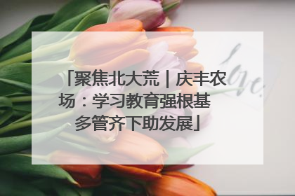 聚焦北大荒｜庆丰农场：学习教育强根基 多管齐下助发展