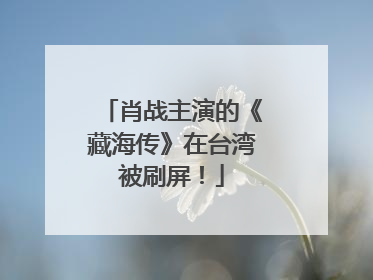 肖战主演的《藏海传》在台湾被刷屏！
