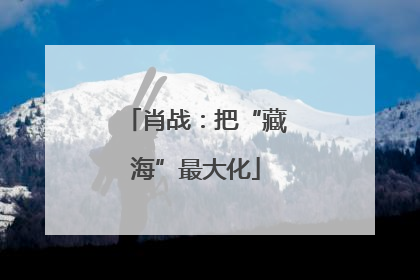 肖战：把“藏海”最大化