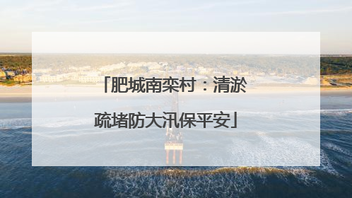 肥城南栾村：清淤疏堵防大汛保平安