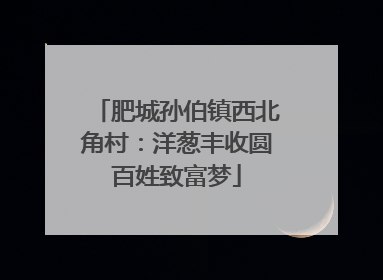 肥城孙伯镇西北角村：洋葱丰收圆百姓致富梦