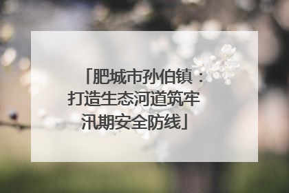 肥城市孙伯镇：打造生态河道筑牢汛期安全防线