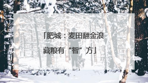 肥城：麦田翻金浪藏粮有“智”方
