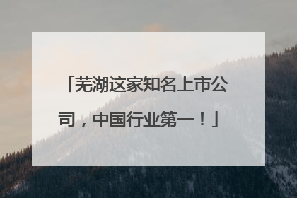 芜湖这家知名上市公司，中国行业第一！