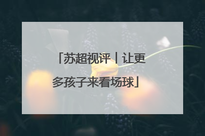 苏超视评︱让更多孩子来看场球