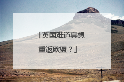 英国难道真想重返欧盟？