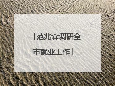 范兆森调研全市就业工作