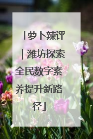 萝卜辣评｜潍坊探索全民数字素养提升新路径