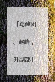葛建团、赵峰，升副部