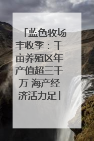 蓝色牧场丰收季：千亩养殖区年产值超三千万 海产经济活力足