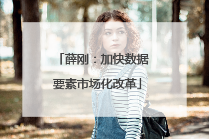 薛刚：加快数据要素市场化改革